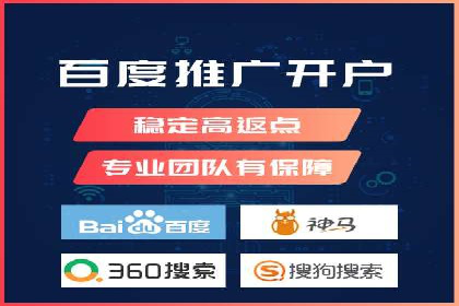 谷歌竞价广告与SEO结合的营销案例解析