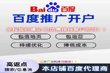 揭秘百度推广：成功案例背后的秘诀